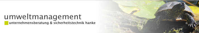 hanke.cc - consulting & coaching